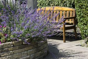 In 2015 Yorkshire in Bloom judges said “ High Royds Memorial Garden is a real gem. The raised beds around the entrance looked impressive packed with nectar-rich herbaceous perennials”. They went on to say it was capable of further development and in 2016 with the help of a grant from Tesco’s “Bag of Help” appeal and willing volunteers further work has been carried out in the garden and adjoining wood.